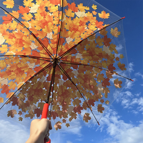 나뭇잎 리프 장우산
