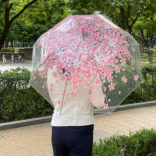 벚꽃우산 1+1